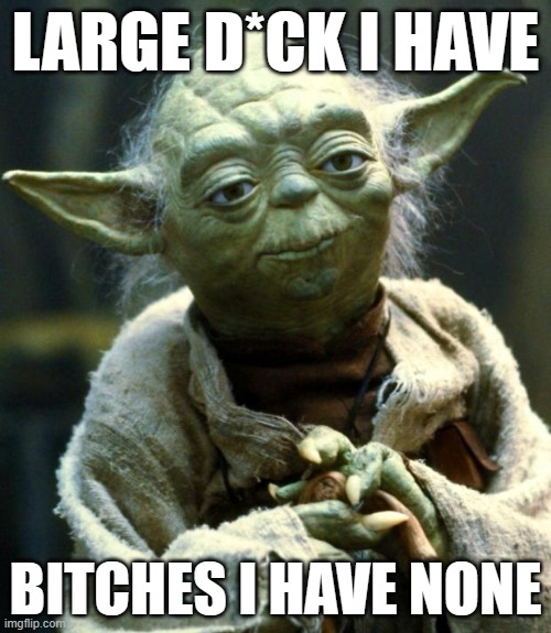 Star Wars Yoda | LARGE D*CK I HAVE; BITCHES I HAVE NONE | image tagged in memes,star wars yoda | made w/ Imgflip meme maker