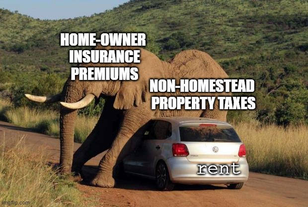 Elephant on Volkswagen | HOME-OWNER 
INSURANCE
PREMIUMS NON-HOMESTEAD 
PROPERTY TAXES rent | image tagged in elephant on volkswagen | made w/ Imgflip meme maker