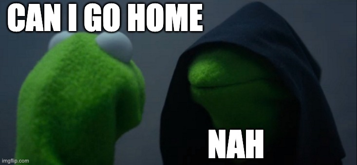 kermit | CAN I GO HOME; NAH | image tagged in memes,evil kermit | made w/ Imgflip meme maker