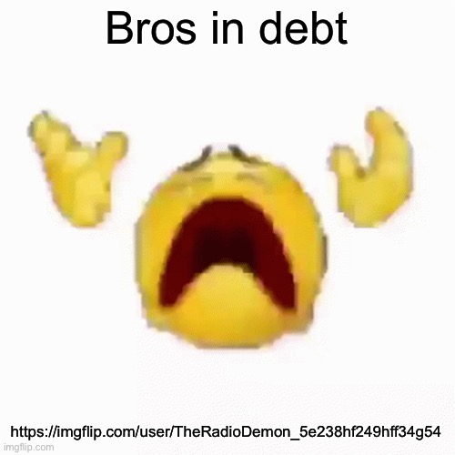 :nooo: | Bros in debt; https://imgflip.com/user/TheRadioDemon_5e238hf249hff34g54 | image tagged in nooo | made w/ Imgflip meme maker