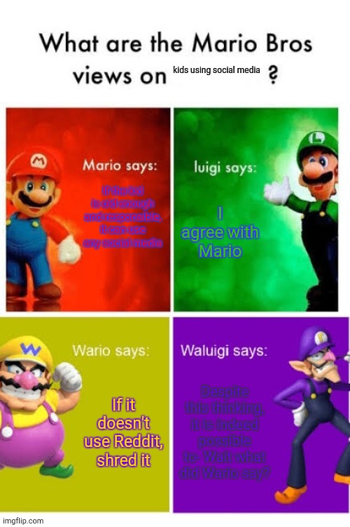 Kids These Days Amirite? | kids using social media; If the kid is old enough and responaible, it can use any social media; I agree with Mario; If it doesn't use Reddit, shred it; Despite this thinking, it is indeed possible to- Wait what did Wario say? | image tagged in mario bros views | made w/ Imgflip meme maker