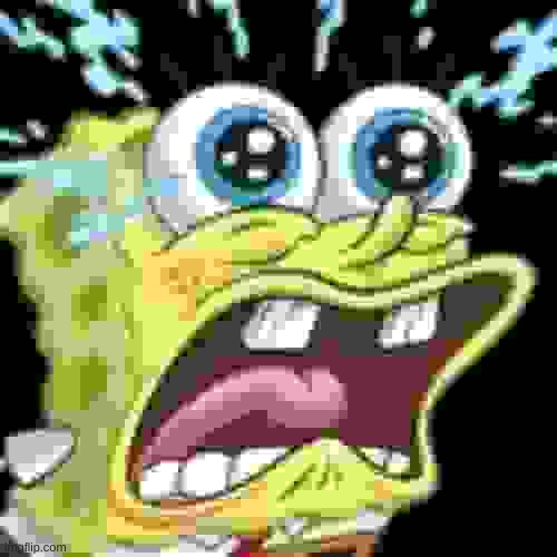 despair | image tagged in despair | made w/ Imgflip meme maker