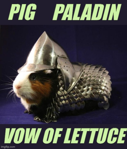 An absolute tank in the right situation | PIG PALADIN VOW OF LETTUCE | image tagged in guinea pig,dungeons and dragons,knight,lettuce | made w/ Imgflip meme maker