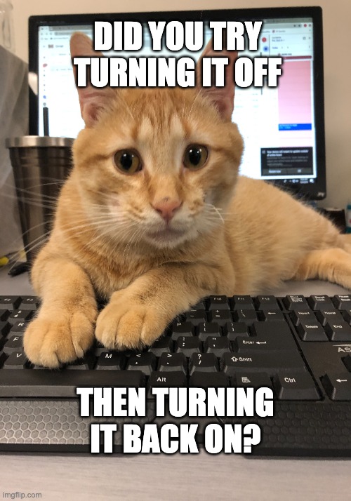 Tech Savvy Cat | DID YOU TRY TURNING IT OFF; THEN TURNING IT BACK ON? | image tagged in cat,computer,working cat | made w/ Imgflip meme maker