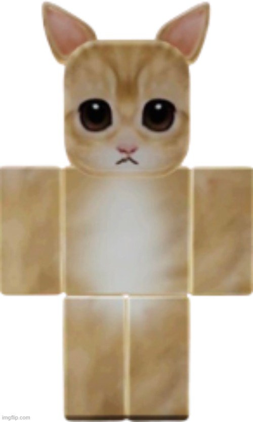 el gato but roblox | image tagged in el gato but roblox,roblox | made w/ Imgflip meme maker
