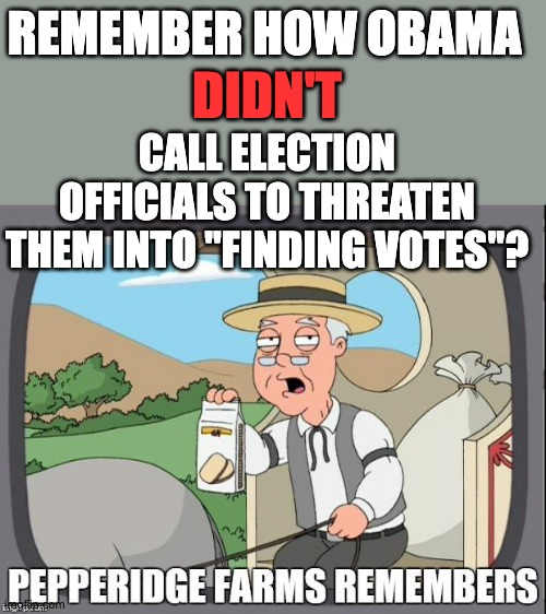 PEPPERIDGE FARMS REMEMBERS | REMEMBER HOW OBAMA CALL ELECTION OFFICIALS TO THREATEN THEM INTO "FINDING VOTES"? DIDN'T | image tagged in pepperidge farms remembers | made w/ Imgflip meme maker