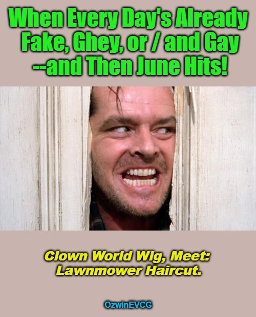 Clown World Wig, Meet: Lawnmower Haircut. | image tagged in pride month,lgbtq,phony revolution,clown world wig,lawnmower haircut,vomitorious eruptus | made w/ Imgflip meme maker