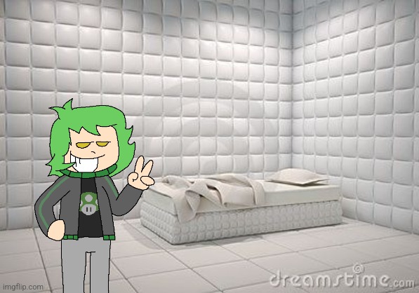 insane asylum pillow room | image tagged in insane asylum pillow room | made w/ Imgflip meme maker