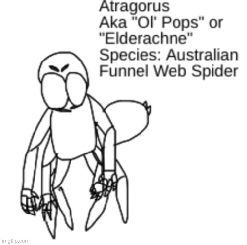 waugh aussie spoidah daw croikey | made w/ Imgflip meme maker