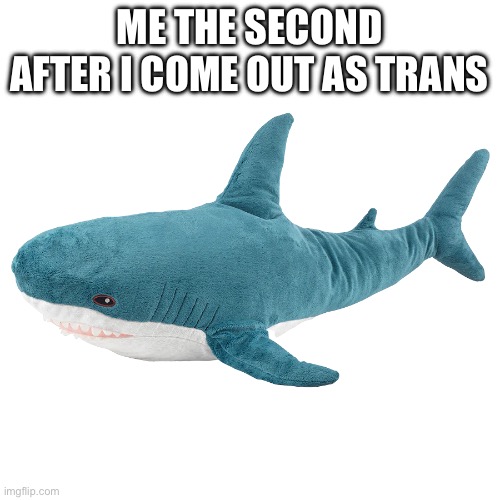 Blahåj | ME THE SECOND AFTER I COME OUT AS TRANS | image tagged in blah j | made w/ Imgflip meme maker