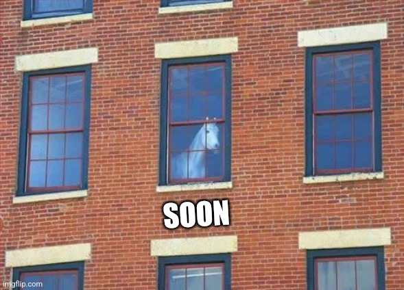 S O O N | SOON | image tagged in window horse,soon,too soon,get well soon | made w/ Imgflip meme maker