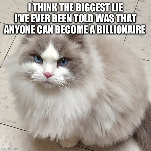 I THINK THE BIGGEST LIE I'VE EVER BEEN TOLD WAS THAT ANYONE CAN BECOME A BILLIONAIRE | made w/ Imgflip meme maker