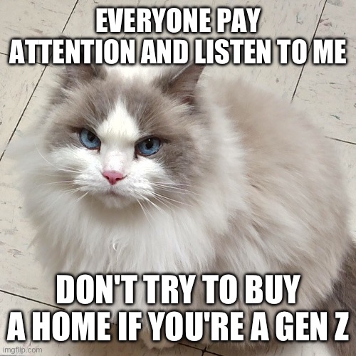 Best rhyme ever | EVERYONE PAY ATTENTION AND LISTEN TO ME; DON'T TRY TO BUY A HOME IF YOU'RE A GEN Z | made w/ Imgflip meme maker