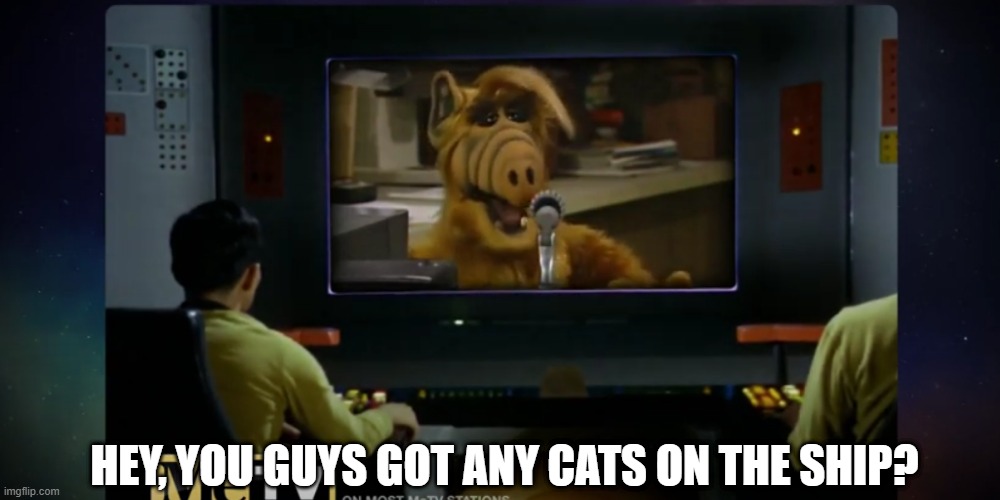 Alf Says | HEY, YOU GUYS GOT ANY CATS ON THE SHIP? | image tagged in alf star trek | made w/ Imgflip meme maker