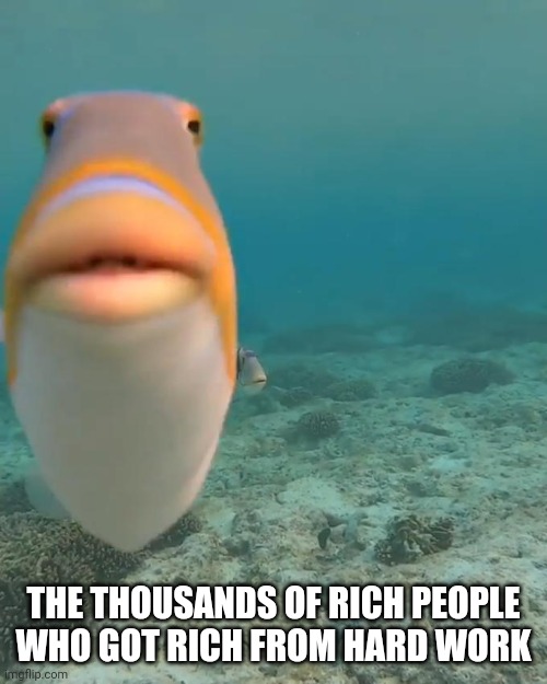 staring fish | THE THOUSANDS OF RICH PEOPLE WHO GOT RICH FROM HARD WORK | image tagged in staring fish | made w/ Imgflip meme maker