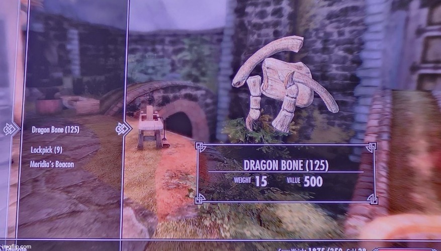 I am wanted in several holds for illegal poaching of dragons | image tagged in skyrim | made w/ Imgflip meme maker