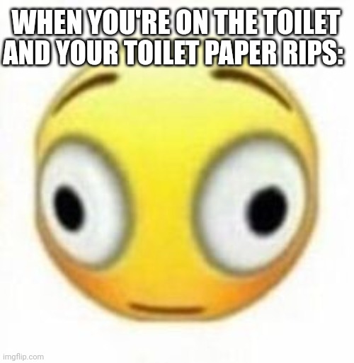 I hate when this happens | WHEN YOU'RE ON THE TOILET; AND YOUR TOILET PAPER RIPS: | image tagged in cursed flustered emoji | made w/ Imgflip meme maker