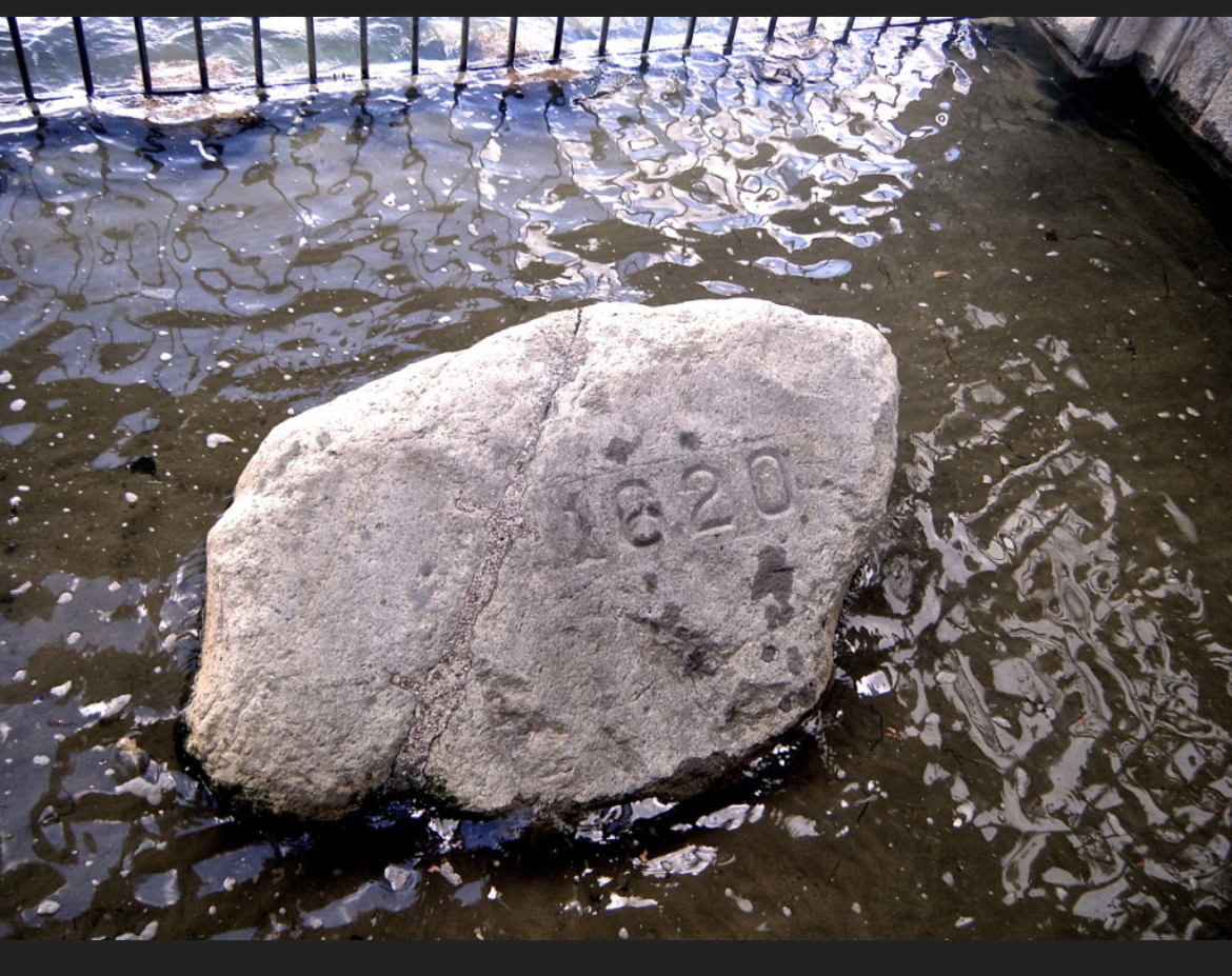 High Quality Plymouth Rock Blank Meme Template