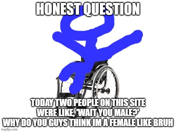 My third template | HONEST QUESTION; TODAY TWO PEOPLE ON THIS SITE WERE LIKE, 'WAIT YOU MALE?'
WHY DO YOU GUYS THINK IM A FEMALE LIKE BRUH | image tagged in my third template | made w/ Imgflip meme maker