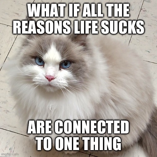 WHAT IF ALL THE REASONS LIFE SUCKS; ARE CONNECTED TO ONE THING | made w/ Imgflip meme maker