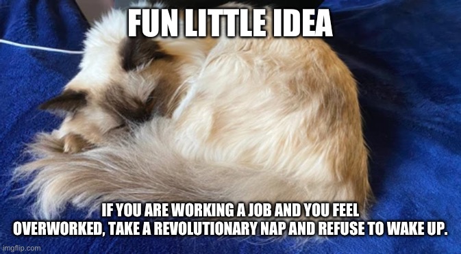 FUN LITTLE IDEA; IF YOU ARE WORKING A JOB AND YOU FEEL OVERWORKED, TAKE A REVOLUTIONARY NAP AND REFUSE TO WAKE UP. | made w/ Imgflip meme maker