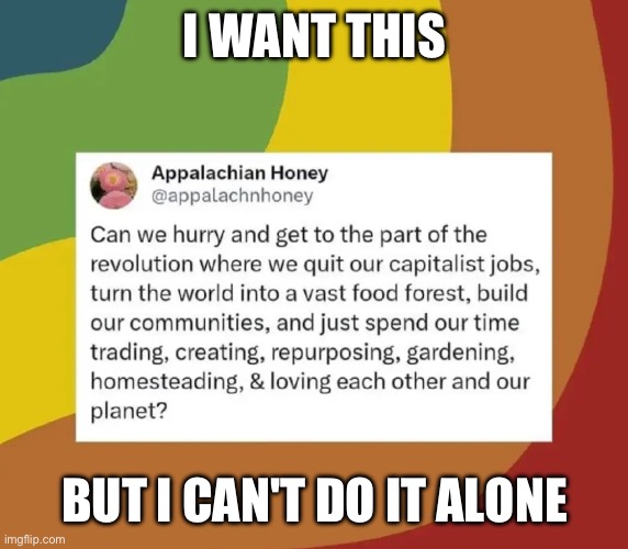 I WANT THIS; BUT I CAN'T DO IT ALONE | made w/ Imgflip meme maker