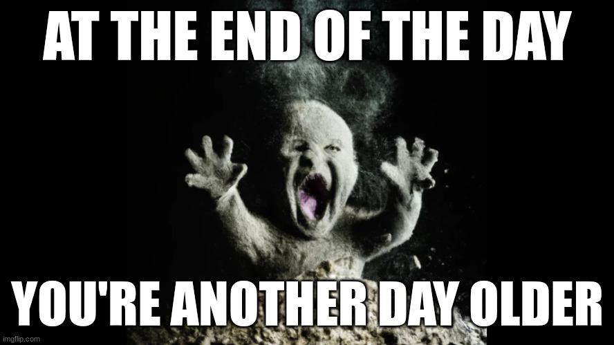 Ash baby, baby vs volcano | AT THE END OF THE DAY; YOU'RE ANOTHER DAY OLDER | image tagged in ash baby baby vs volcano | made w/ Imgflip meme maker