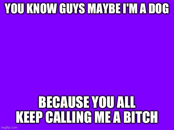 YOU KNOW GUYS MAYBE I'M A DOG; BECAUSE YOU ALL KEEP CALLING ME A BITCH | made w/ Imgflip meme maker