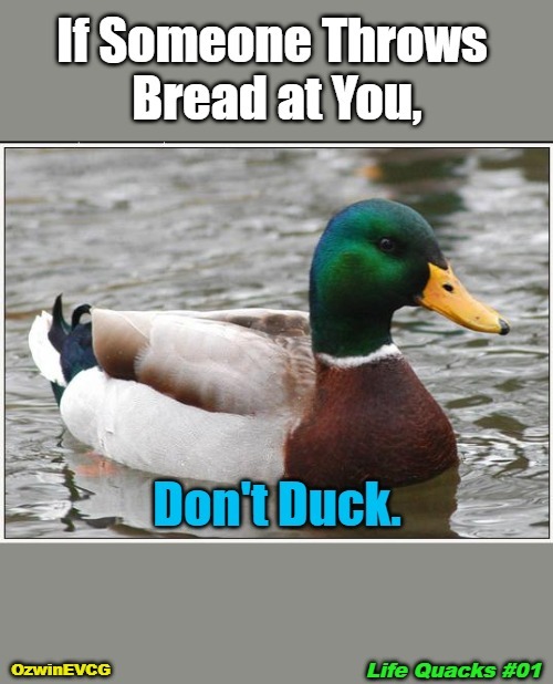 Life Quacks #01 | image tagged in memes,actual advice mallard,life hack,free,life quack,food | made w/ Imgflip meme maker