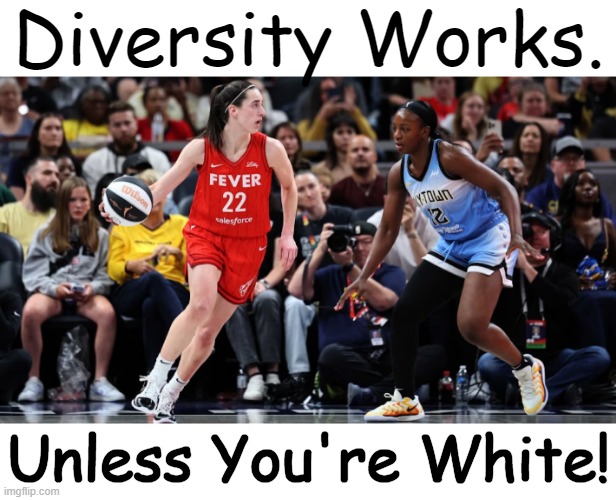 The Truth Today | Diversity Works. Unless You're White! | image tagged in politics,diversity,bububut,not whites,basketball,double standards | made w/ Imgflip meme maker