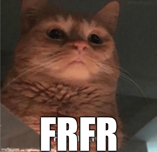 Pathetic Cat | FRFR | image tagged in pathetic cat | made w/ Imgflip meme maker