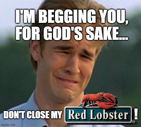 Please God, No! | I'M BEGGING YOU,
FOR GOD'S SAKE... ! DON'T CLOSE MY | image tagged in food,food memes,lobster | made w/ Imgflip meme maker