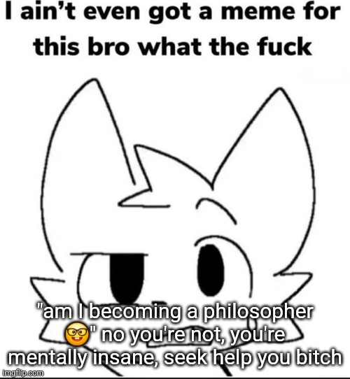 I ain't even got a meme for this | "am I becoming a philosopher 🤓" no you're not, you're mentally insane, seek help you bitch | image tagged in i ain't even got a meme for this | made w/ Imgflip meme maker