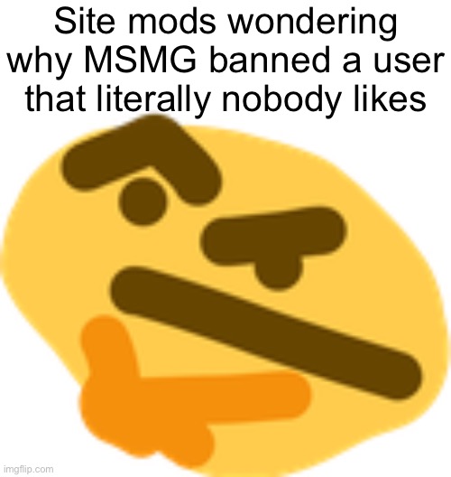 Thonking | Site mods wondering why MSMG banned a user that literally nobody likes | image tagged in thonking | made w/ Imgflip meme maker