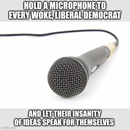 Amplifying idiocy | HOLD A MICROPHONE TO EVERY WOKE, LIBERAL DEMOCRAT; AND LET THEIR INSANITY OF IDEAS SPEAK FOR THEMSELVES | image tagged in microphone | made w/ Imgflip meme maker