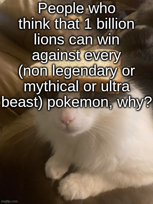 bread cat | People who think that 1 billion lions can win against every (non legendary or mythical or ultra beast) pokemon, why? | image tagged in bread cat | made w/ Imgflip meme maker