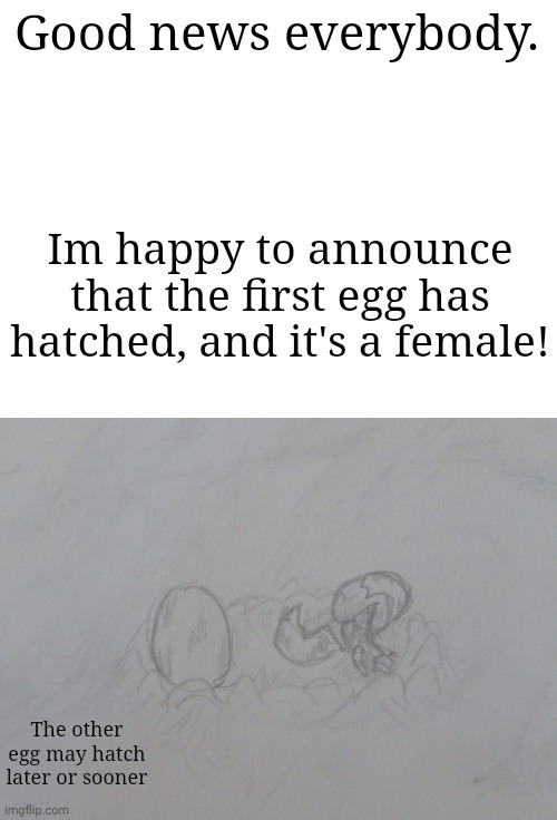 Yey, finally! | Good news everybody. Im happy to announce that the first egg has hatched, and it's a female! The other egg may hatch later or sooner | made w/ Imgflip meme maker