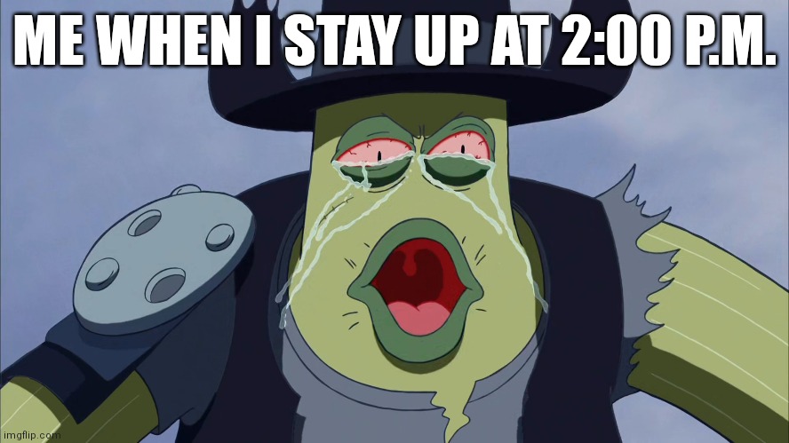 Relatable | ME WHEN I STAY UP AT 2:00 P.M. | image tagged in funny | made w/ Imgflip meme maker