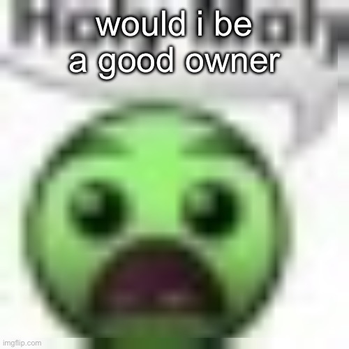 holy moly | would i be a good owner | image tagged in holy moly | made w/ Imgflip meme maker
