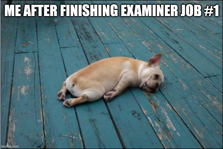 tired dog | ME AFTER FINISHING EXAMINER JOB #1 | image tagged in tired dog | made w/ Imgflip meme maker