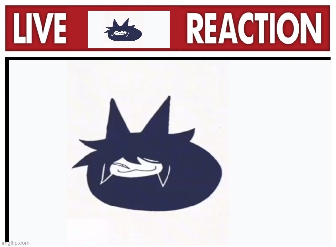 Live Miss Circle reaction | image tagged in live reaction | made w/ Imgflip meme maker