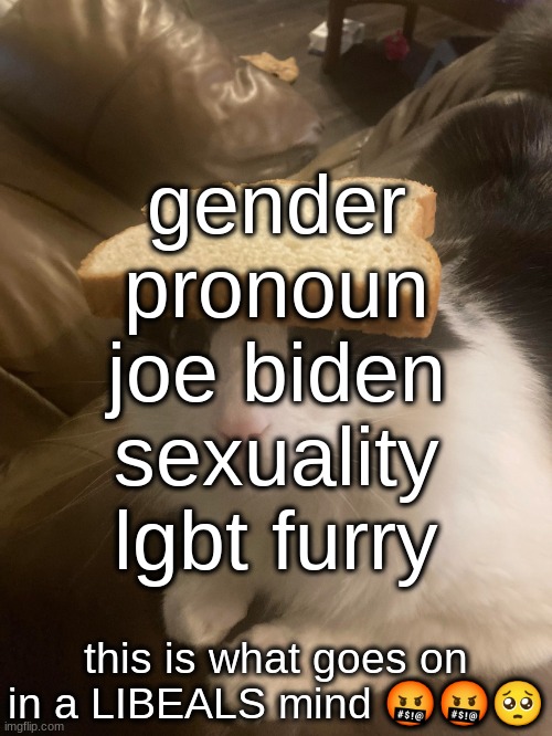 libarby | gender pronoun joe biden sexuality lgbt furry; this is what goes on in a LIBEALS mind 🤬🤬🥺 | image tagged in bread cat | made w/ Imgflip meme maker