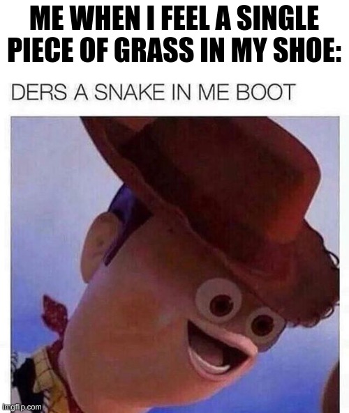 *scared noises* | ME WHEN I FEEL A SINGLE PIECE OF GRASS IN MY SHOE: | image tagged in memes,toy story,funny memes,middle school,nooo,scared | made w/ Imgflip meme maker