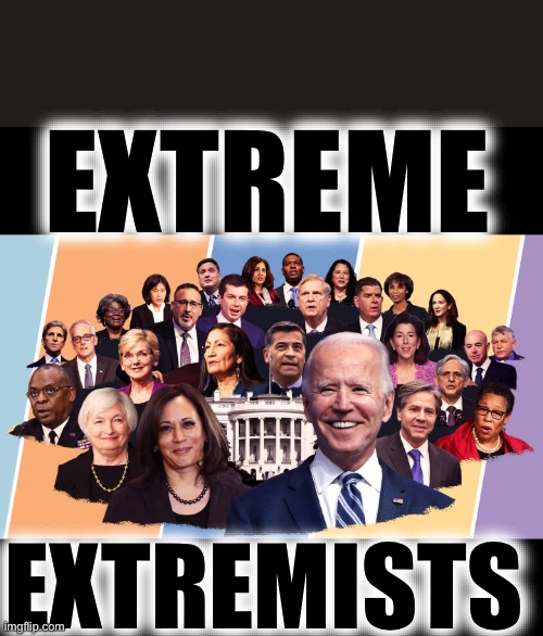 Biden's cabinet | EXTREME EXTREMISTS | image tagged in biden's cabinet | made w/ Imgflip meme maker