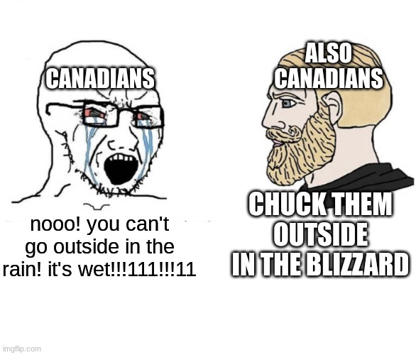 The Canadian School. Truly Magnificent. | ALSO CANADIANS; CANADIANS; CHUCK THEM OUTSIDE IN THE BLIZZARD; nooo! you can't go outside in the rain! it's wet!!!111!!!11 | image tagged in soyboy vs yes chad | made w/ Imgflip meme maker
