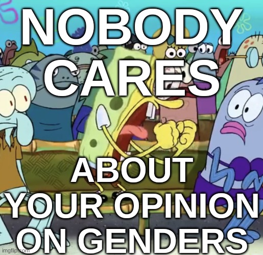 h | NOBODY CARES; ABOUT YOUR OPINION ON GENDERS | image tagged in spongebob yelling | made w/ Imgflip meme maker