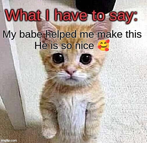 what kitty has to say :3 | My babe helped me make this
He is so nice 🥰 | image tagged in what kitty has to say 3 | made w/ Imgflip meme maker