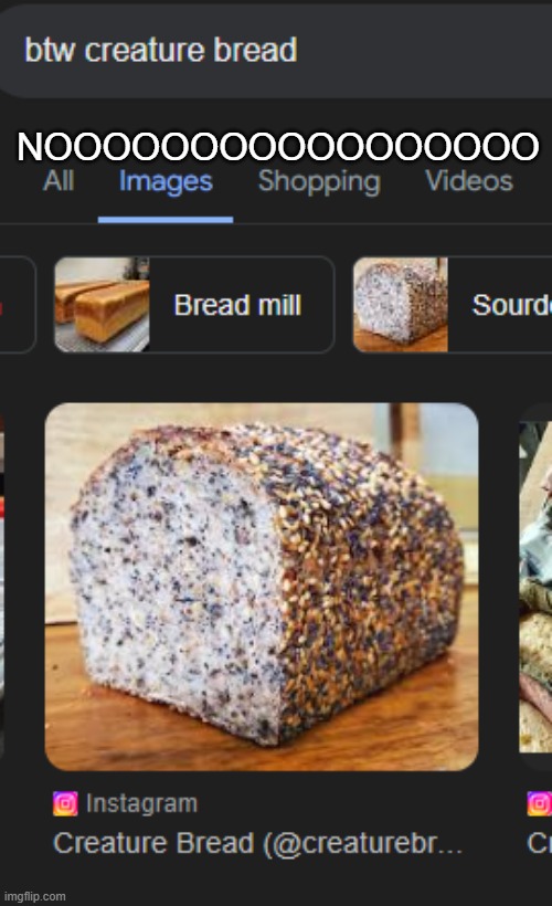 THEY MADE IT INTO BREAD!!!!!!! | NOOOOOOOOOOOOOOOOO | made w/ Imgflip meme maker