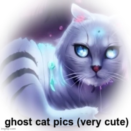 Cute | image tagged in cats,cat,ghosts,ghost,ghost cats,ghost cat | made w/ Imgflip meme maker