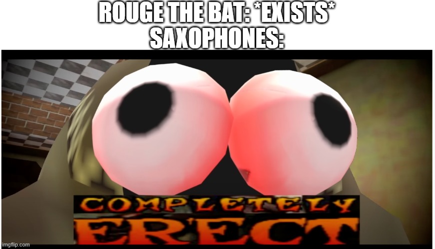 Completely Erect | ROUGE THE BAT: *EXISTS*
SAXOPHONES: | image tagged in completely erect | made w/ Imgflip meme maker